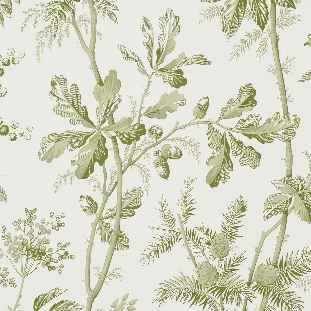 Brantwood Vine_ LEAF