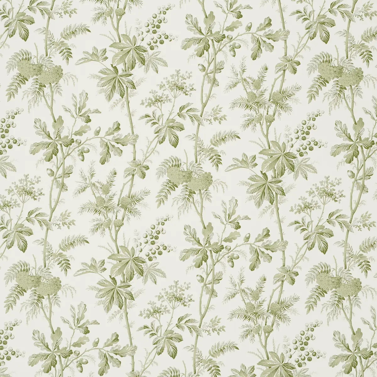 Brantwood Vine_ LEAF