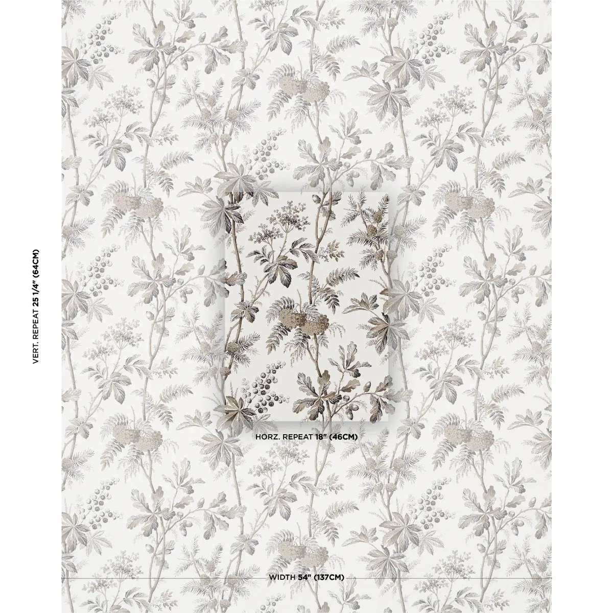 Brantwood Vine_ GRAPHITE