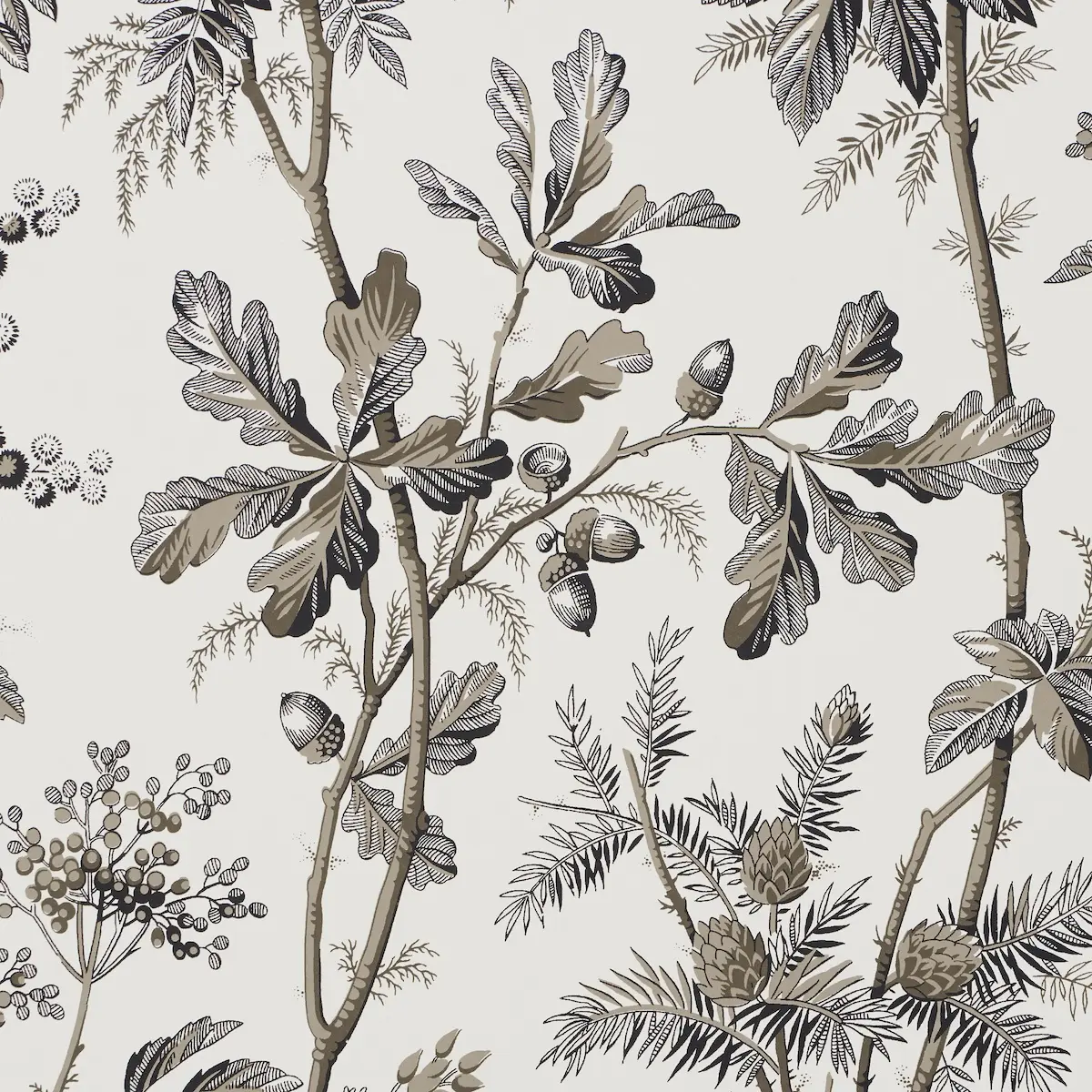 Brantwood Vine_ GRAPHITE