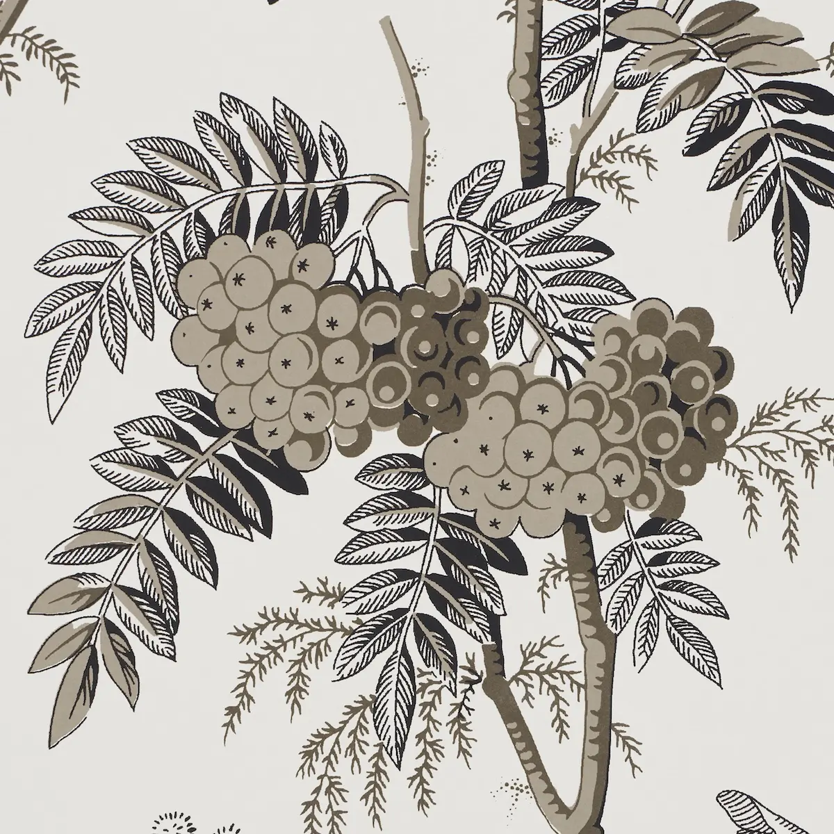 Brantwood Vine_ GRAPHITE