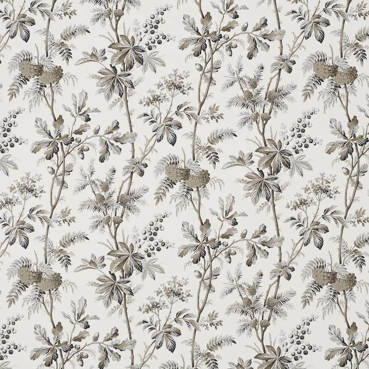 Brantwood Vine_ GRAPHITE