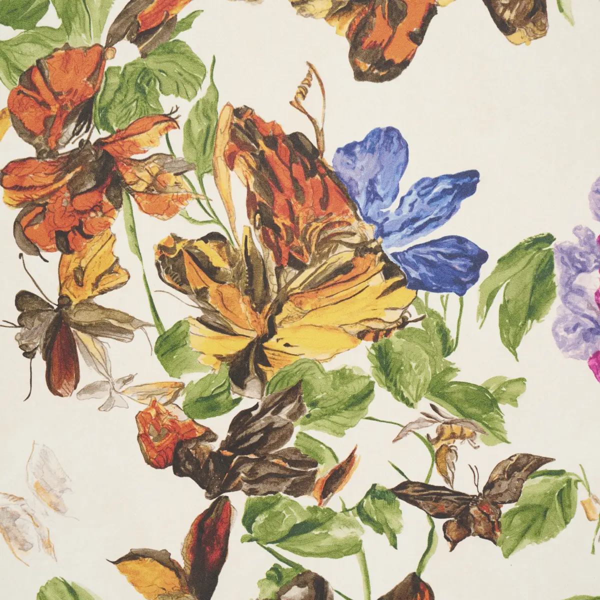 Pyne Butterfly_ MONARCH ORANGE