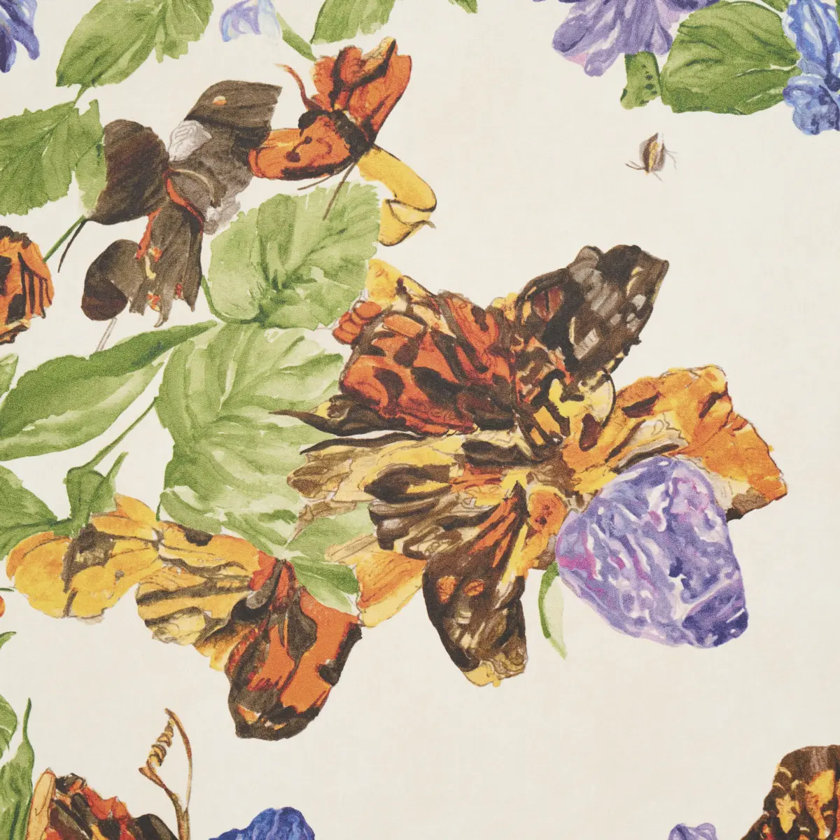 Pyne Butterfly_ MONARCH ORANGE
