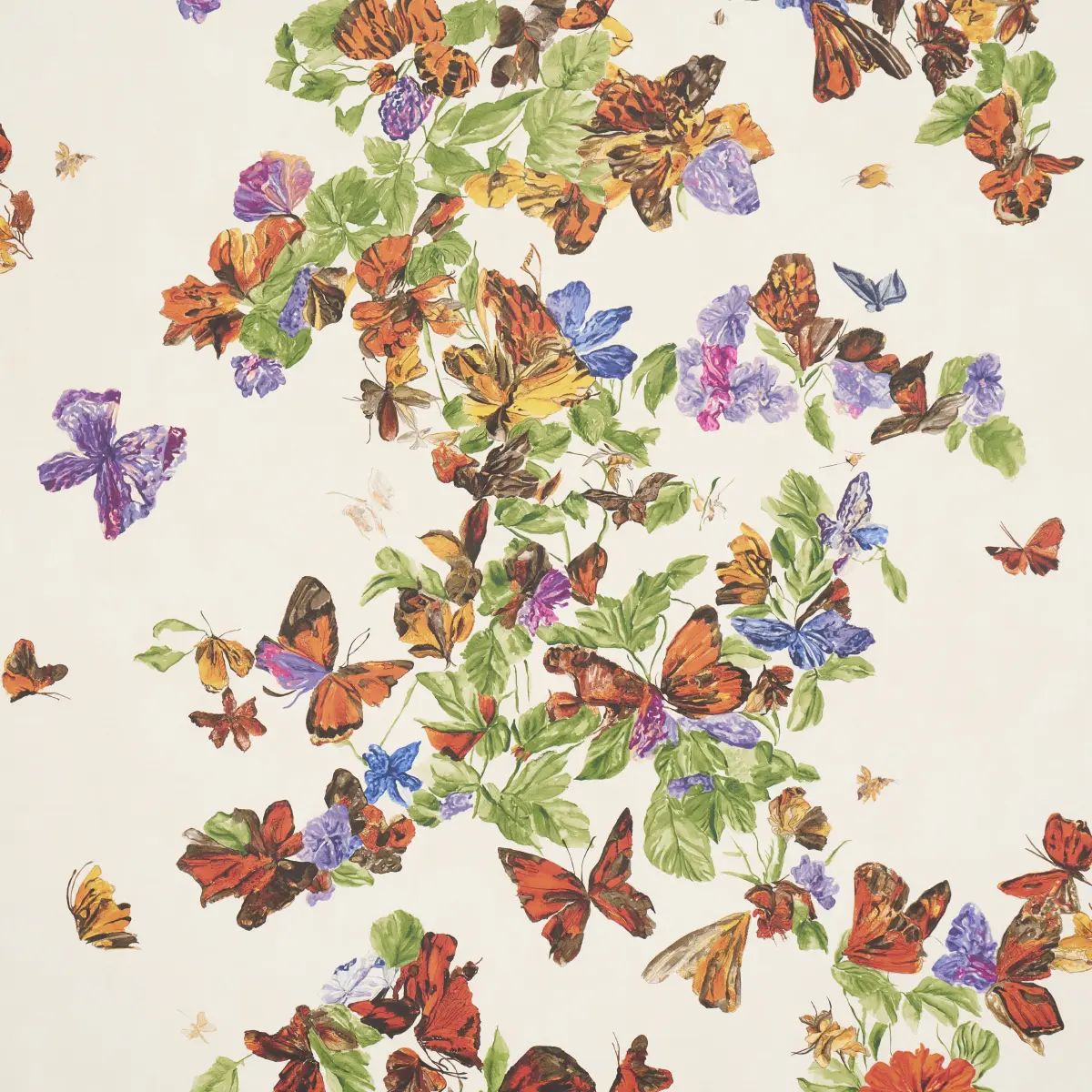 Pyne Butterfly_ MONARCH ORANGE