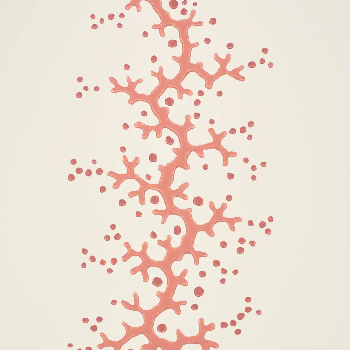 Coral Stripe_ CORAL