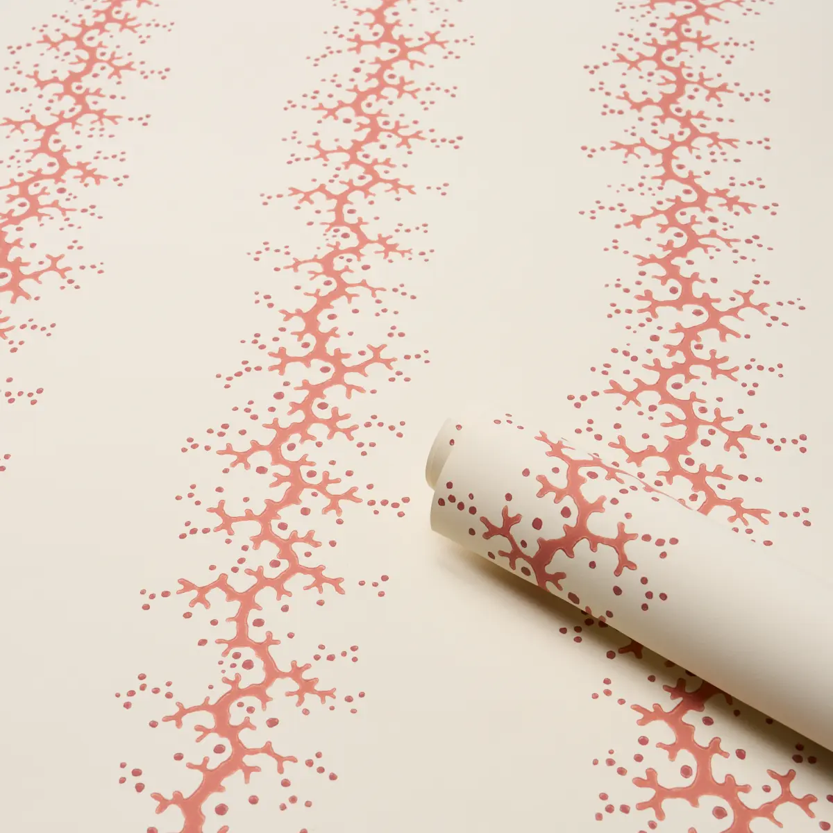 Coral Stripe_ CORAL