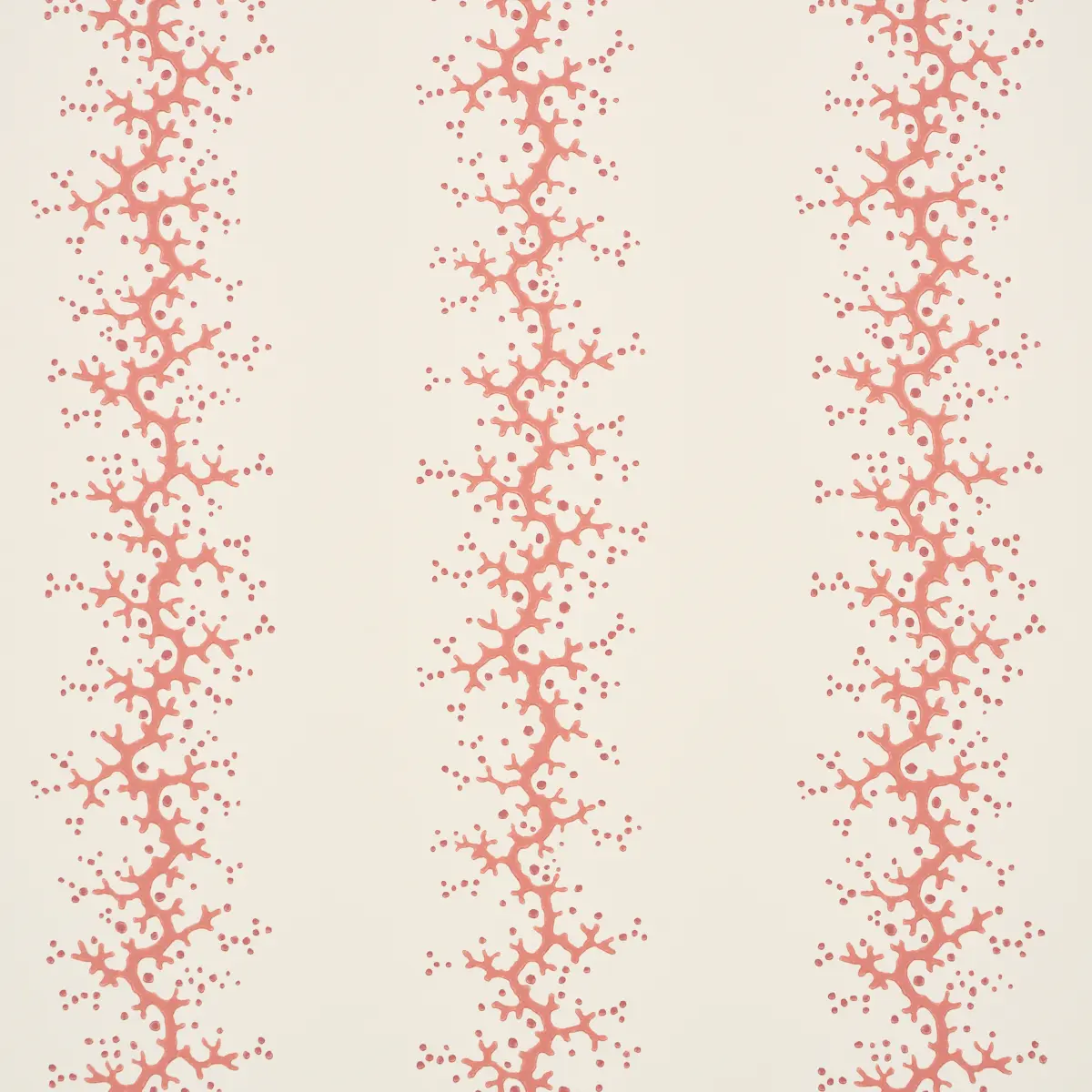 Coral Stripe_ CORAL