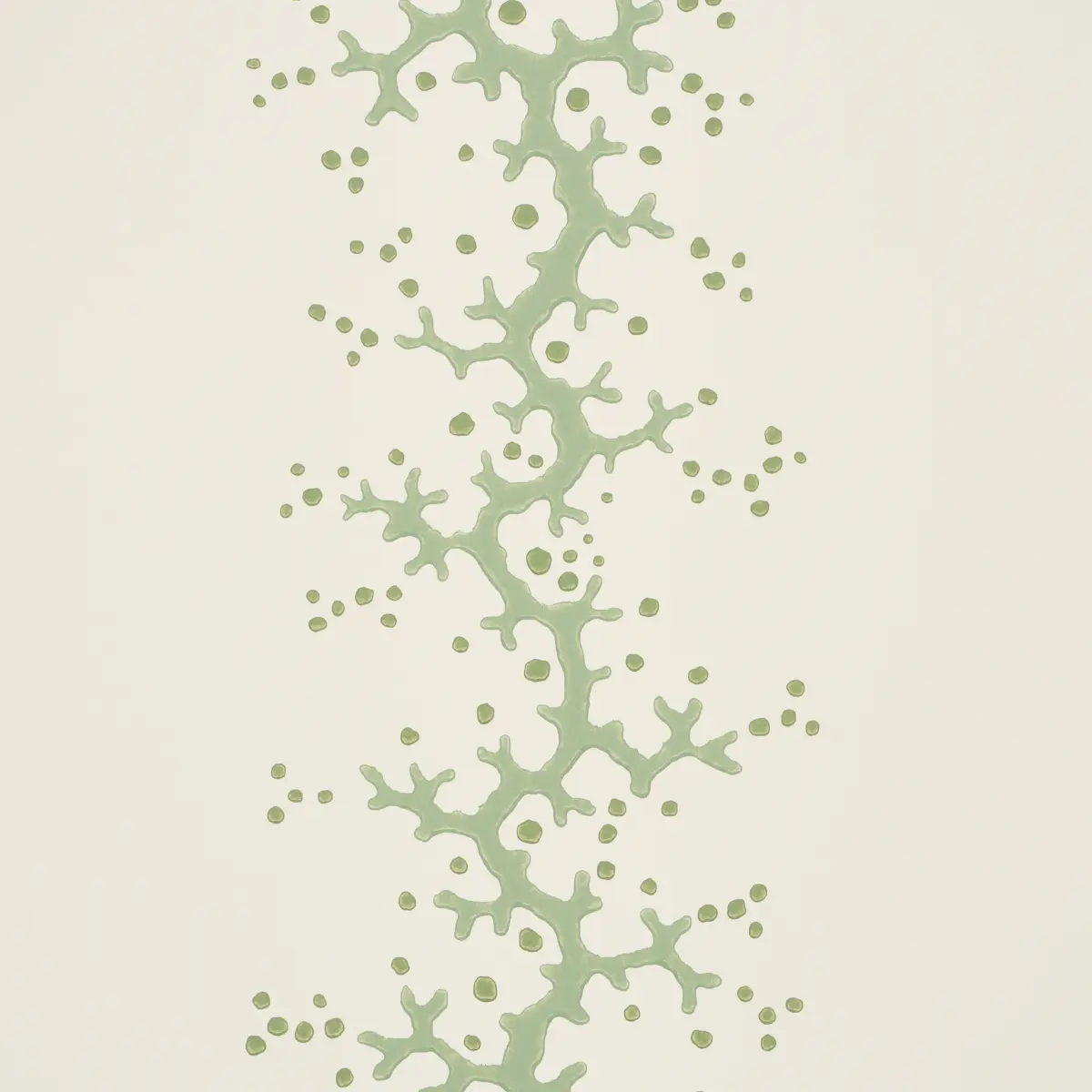 Coral Stripe_ GREEN