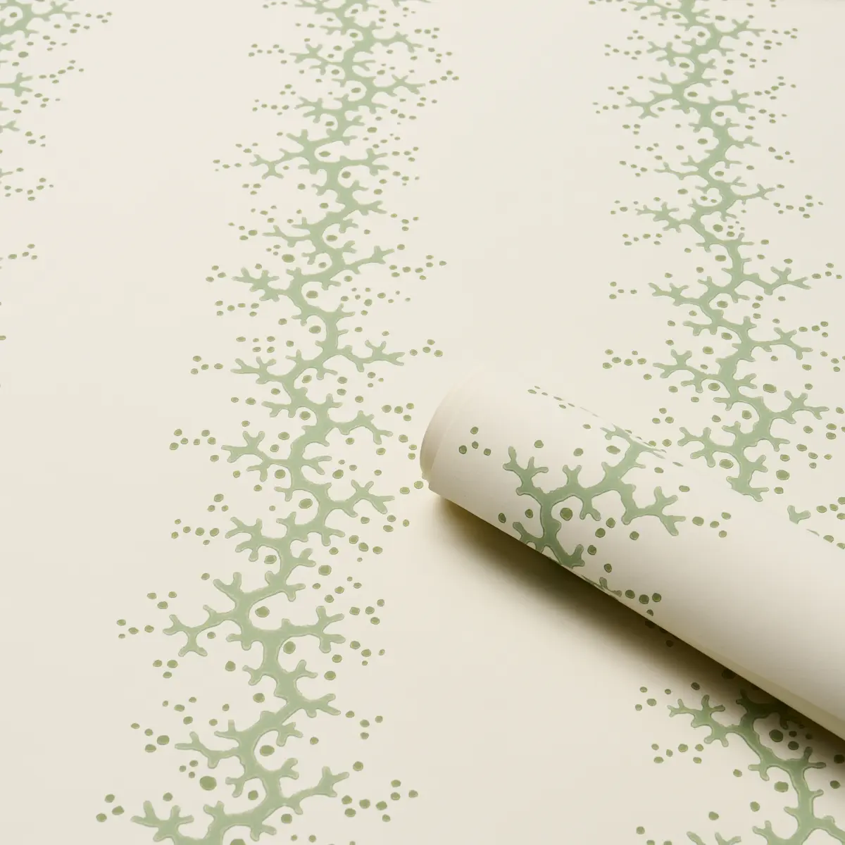 Coral Stripe_ GREEN