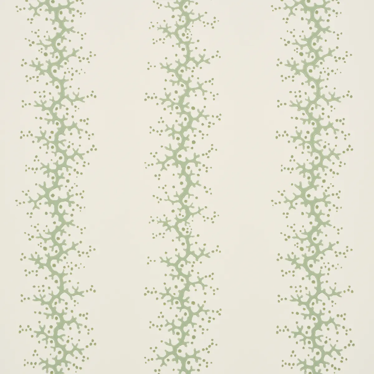 Coral Stripe_ GREEN