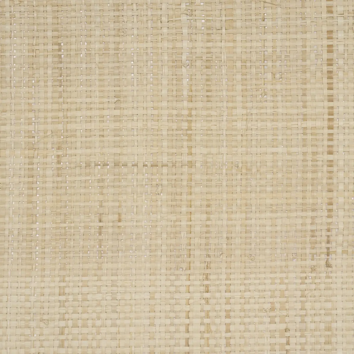BLONDE RAFFIA_ WHEAT