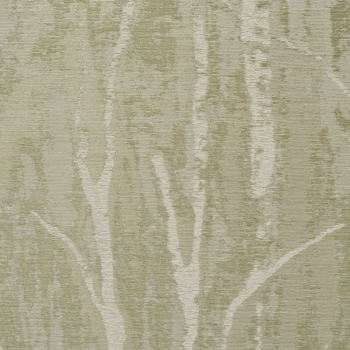KOMOREBI_ ILLUMINATED FOREST