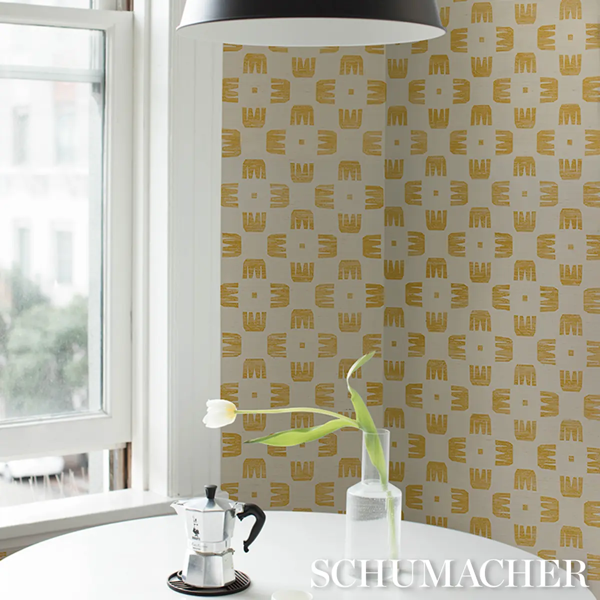 RAZE SISAL_ MAIZE