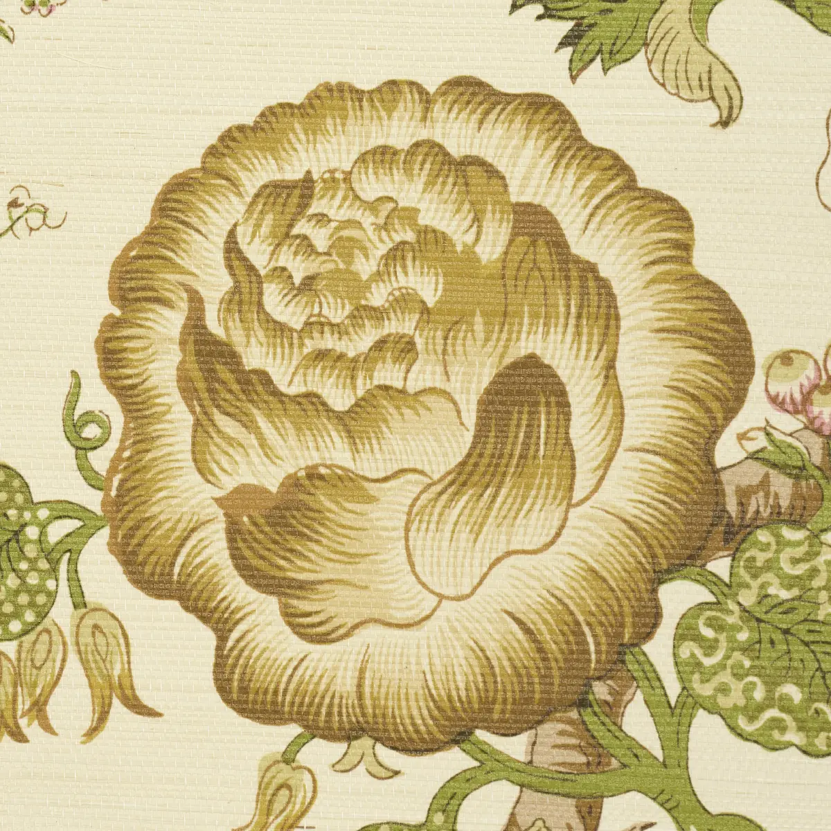 Josephine Sisal_ CITRON