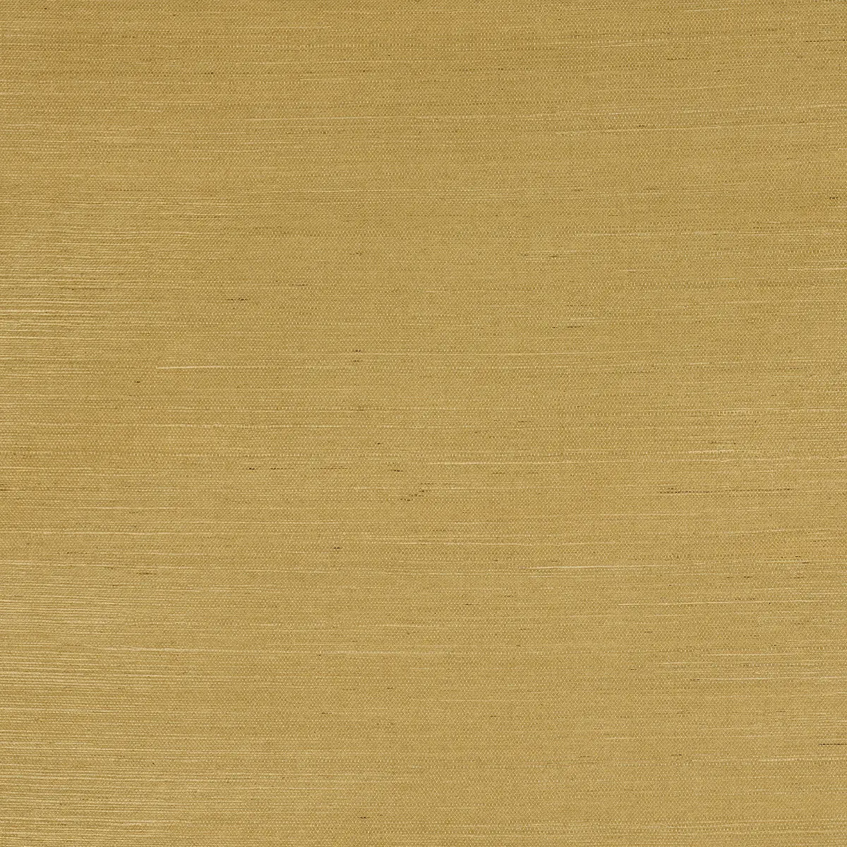 HARUKI SISAL_ TANLINES