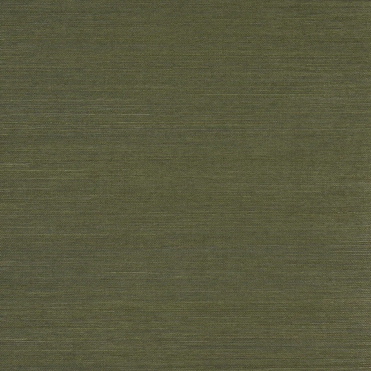 HARUKI SISAL_ NIGHT ON EARTH