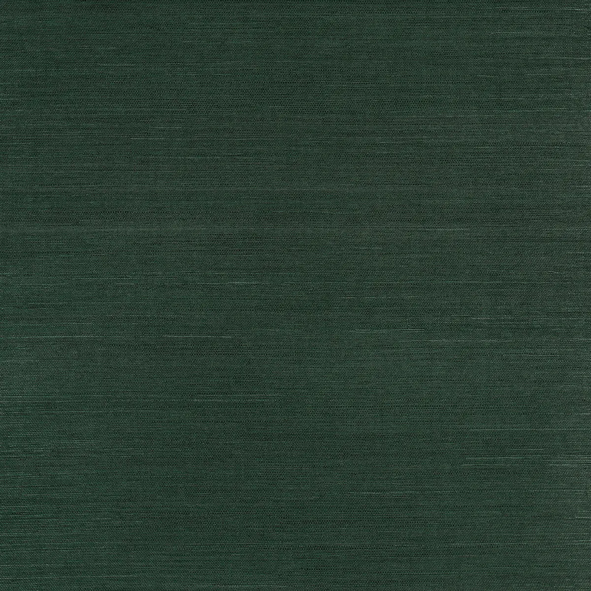 HARUKI SISAL_ KISMET