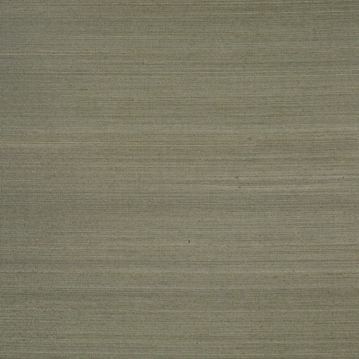 MUSA ABACA WALLCOVERING_ EUCALYPTUS