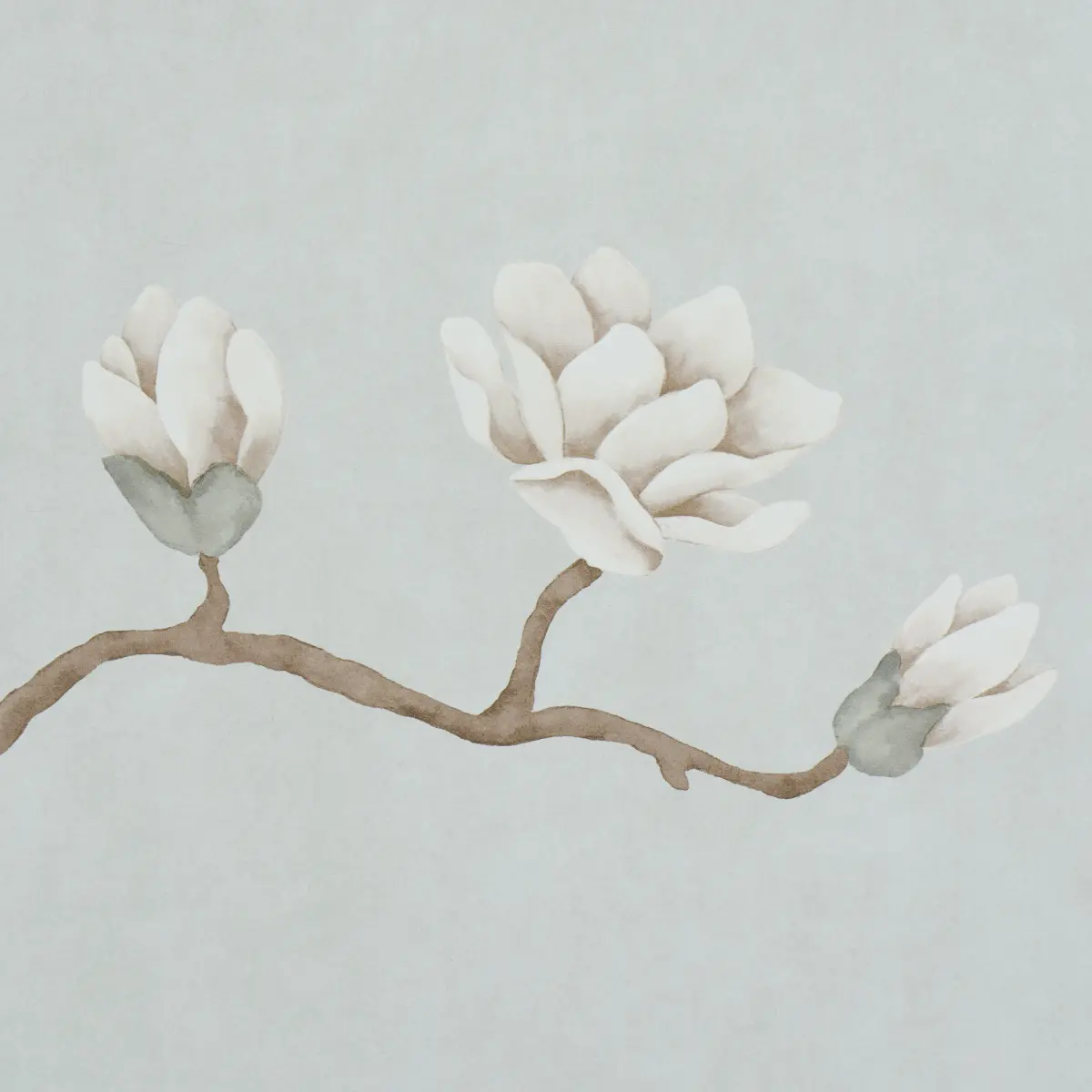 Magnolia Tree_ DUSTY SKY