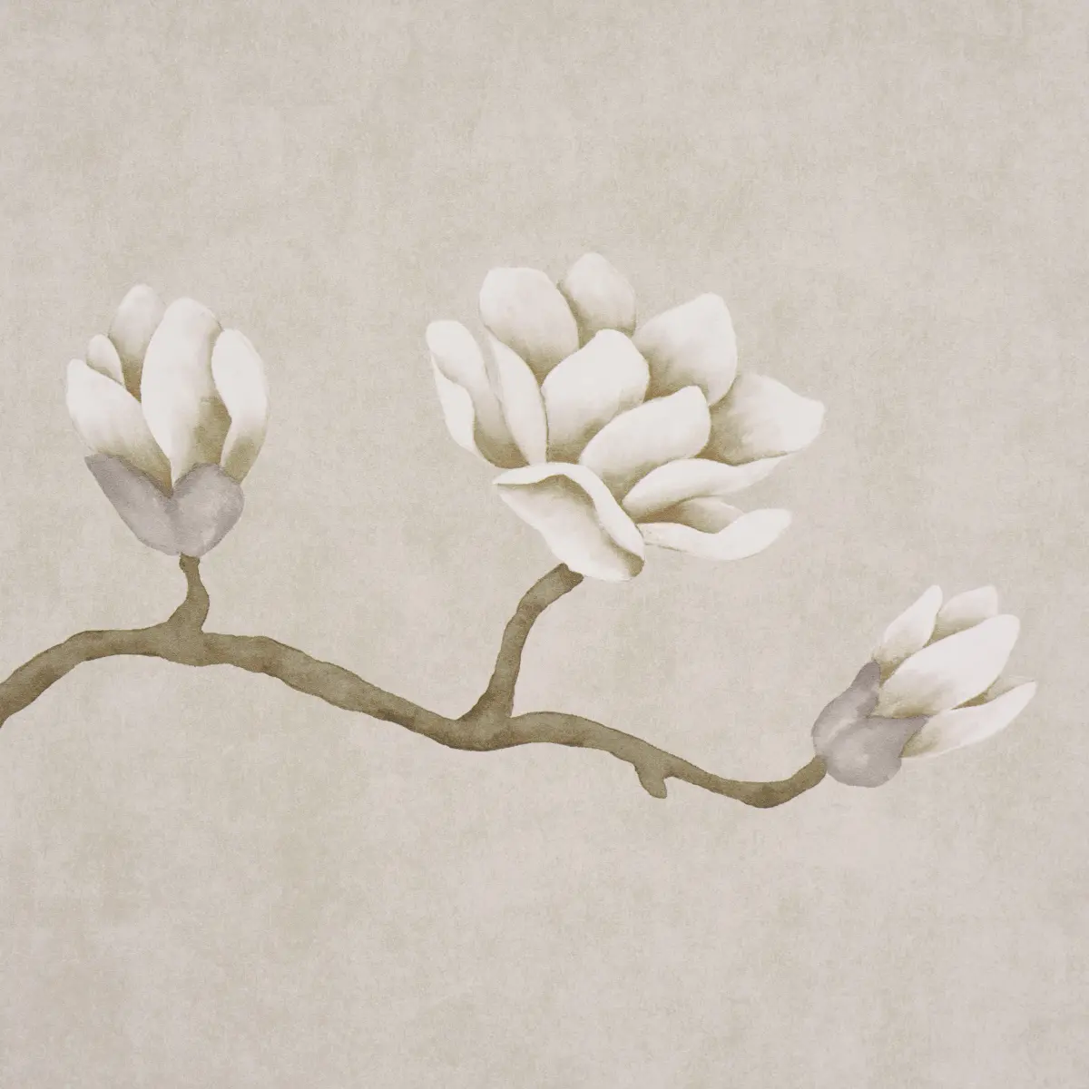 Magnolia Tree_ GRISAILLE