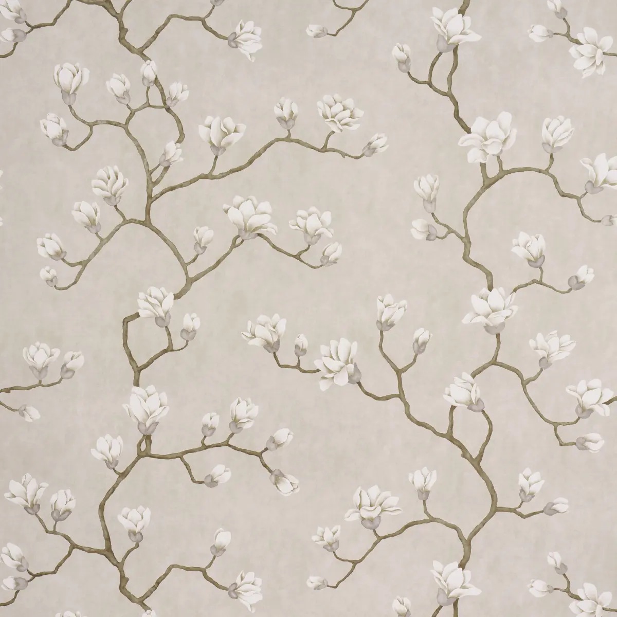 Magnolia Tree_ GRISAILLE