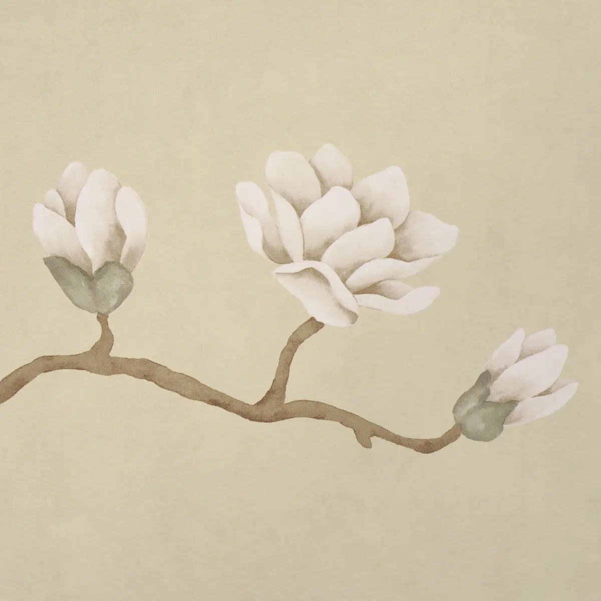 Magnolia Tree_ SOFT GOLD