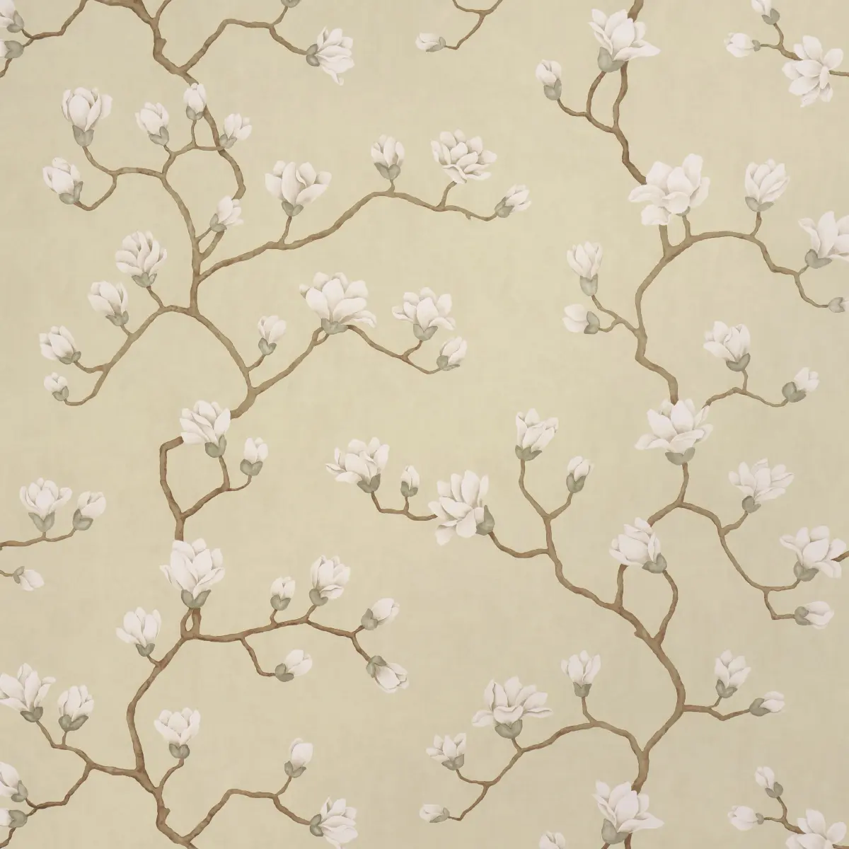 Magnolia Tree_ SOFT GOLD