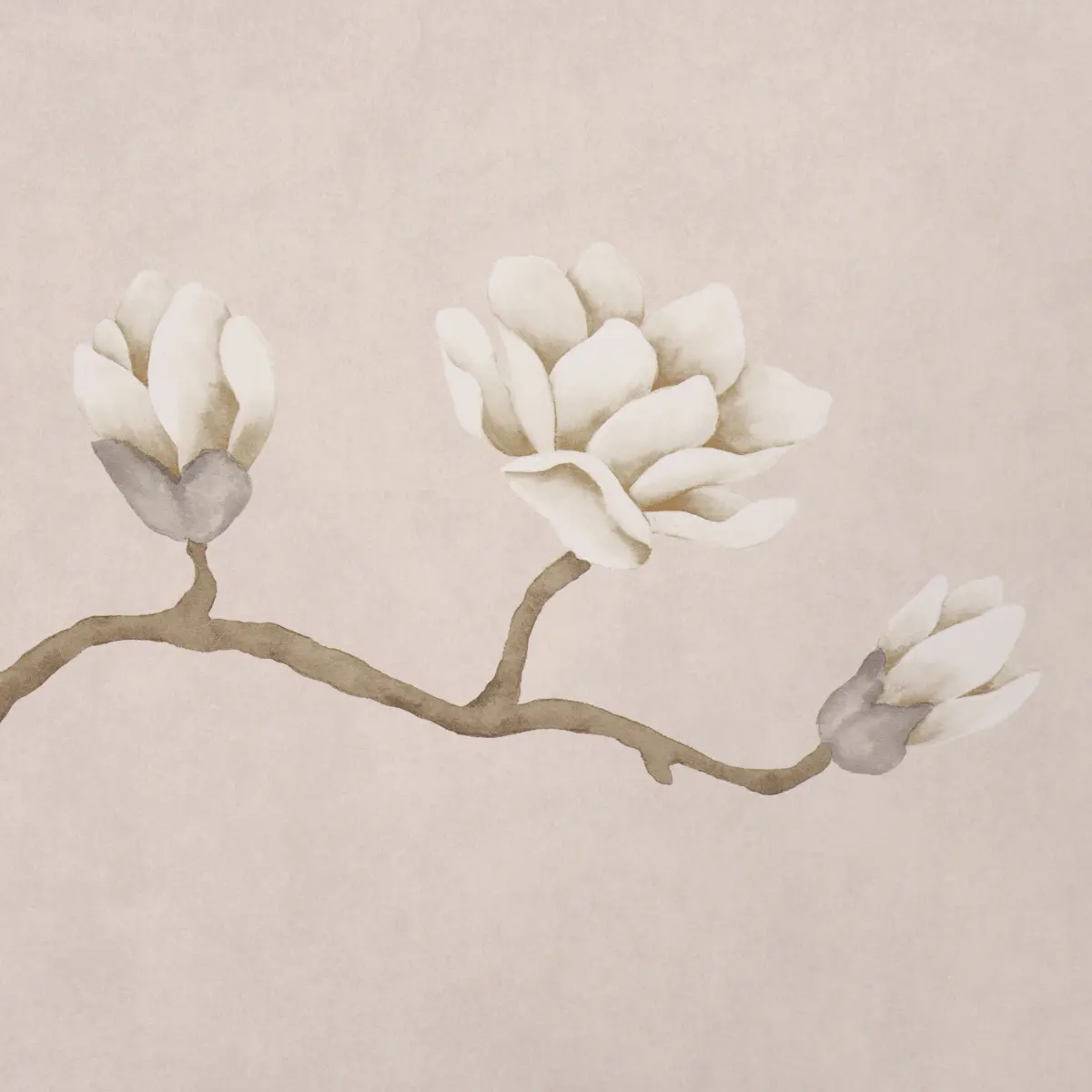 Magnolia Tree_ DUSTY BLUSH