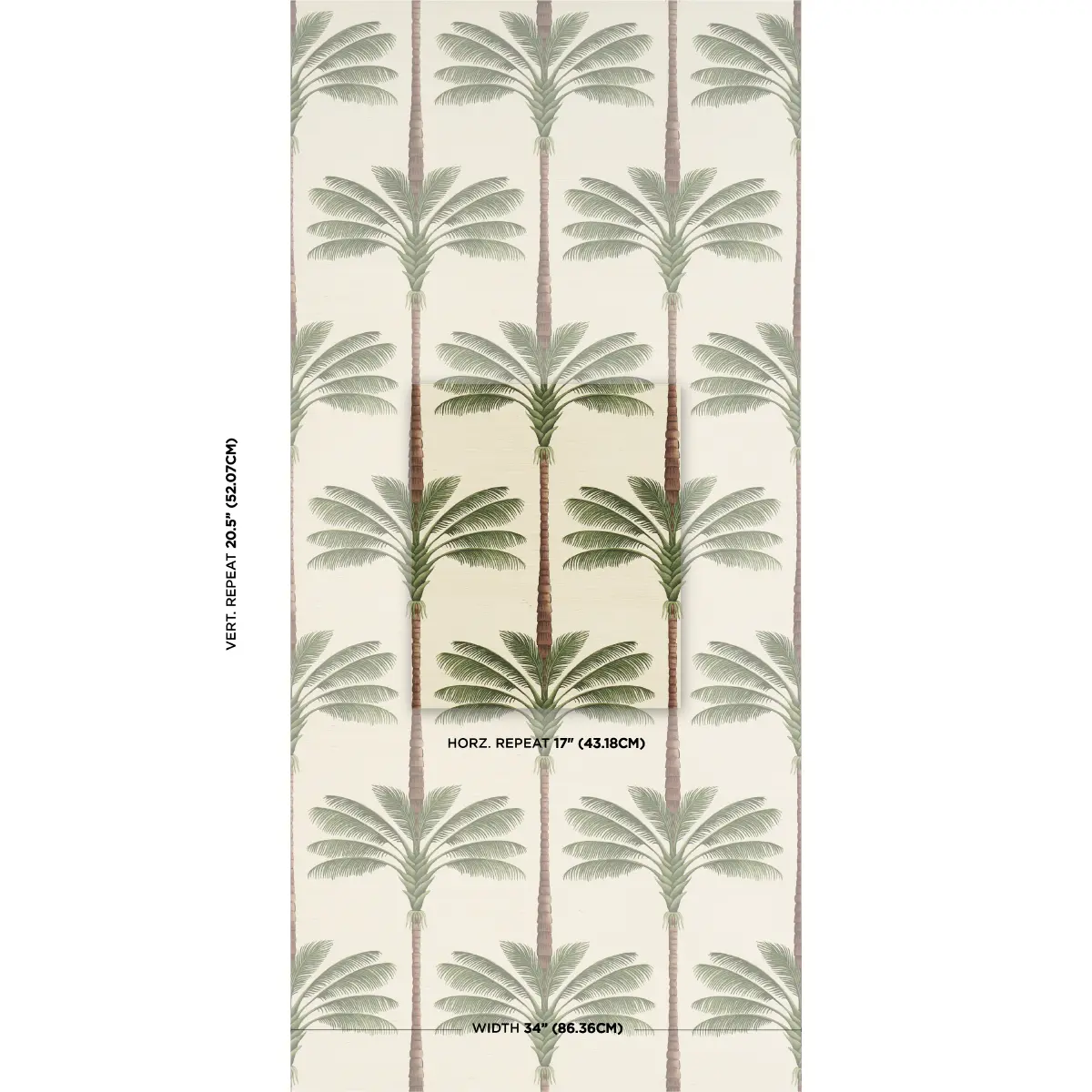 A Palm Is A Palm Sisal_ DAYLIGHT EVERGREEN