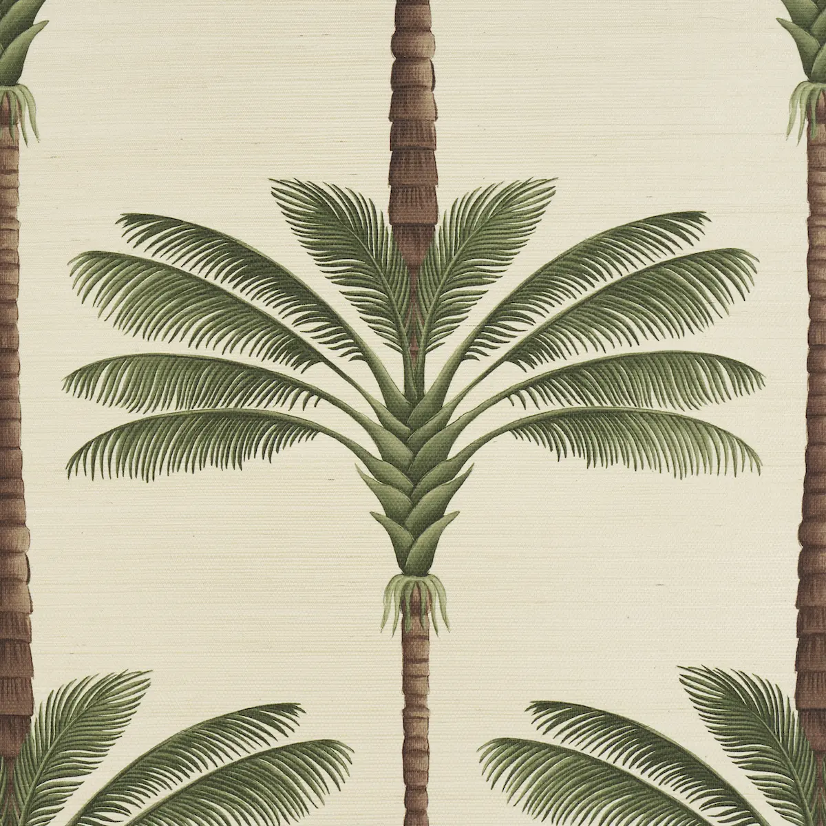 A Palm Is A Palm Sisal_ DAYLIGHT EVERGREEN