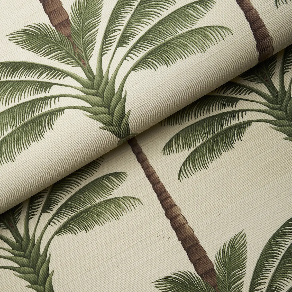 A Palm Is A Palm Sisal_ DAYLIGHT EVERGREEN