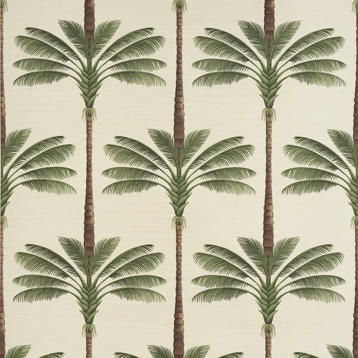 A Palm Is A Palm Sisal_ DAYLIGHT EVERGREEN