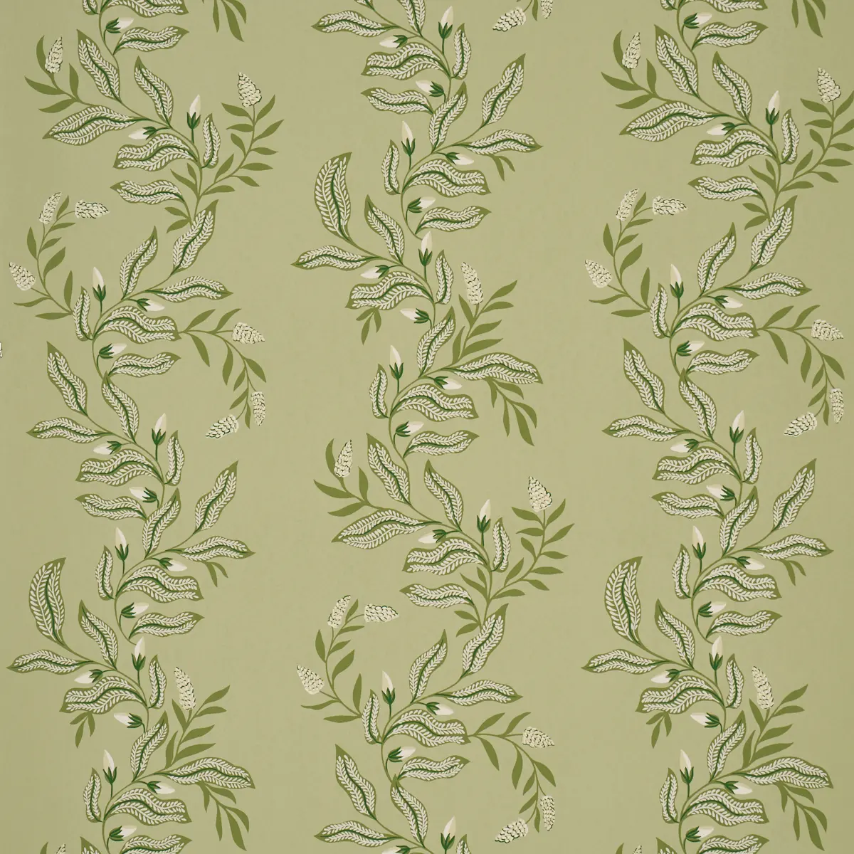 Vagary Vines_ HONEYDEW