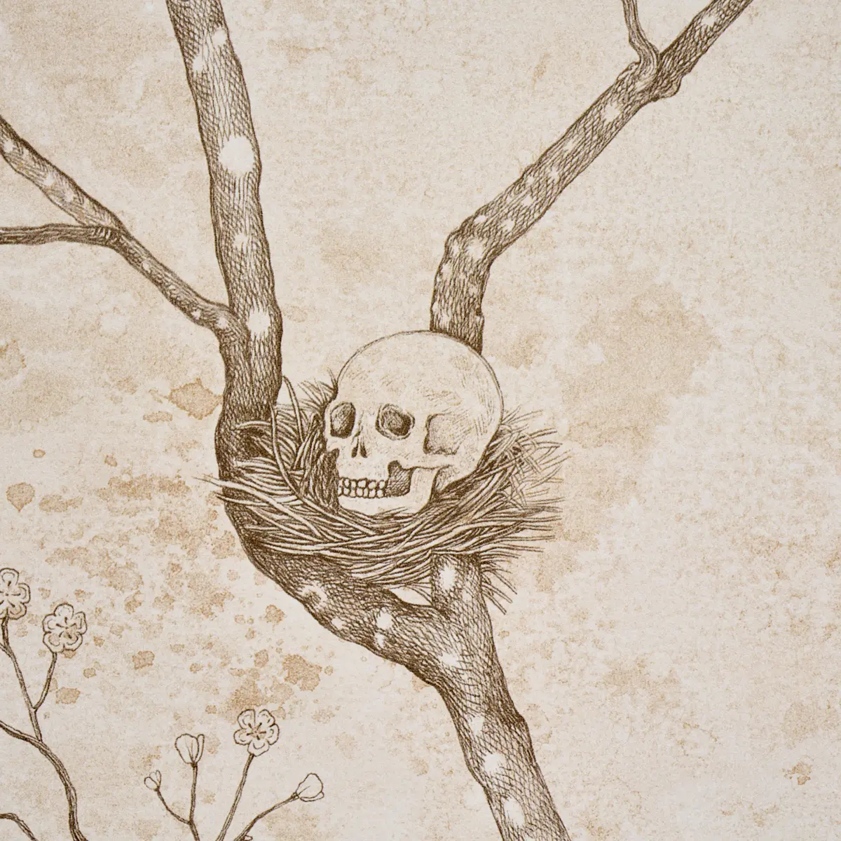 L’attesa Nella Notte_ IVORY
