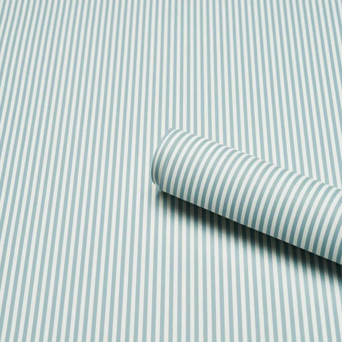Emma Stripe Narrow_ CHAMBRAY