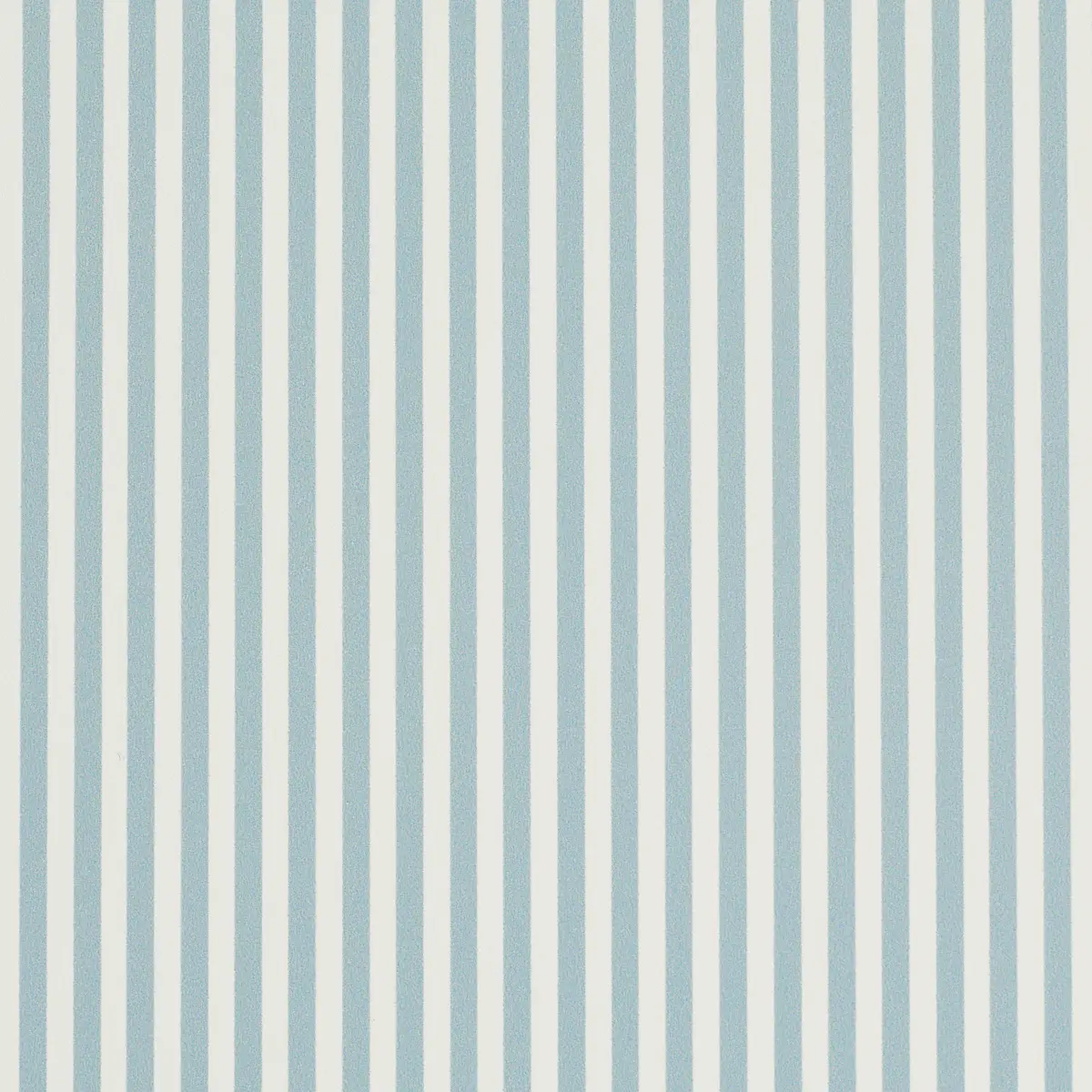 Emma Stripe Narrow_ CHAMBRAY