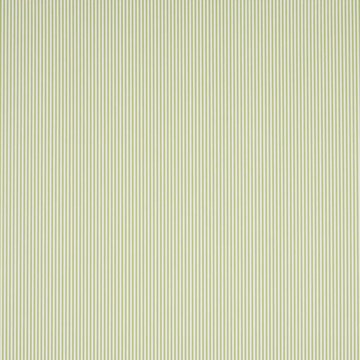 Emma Stripe Narrow_ LEAF