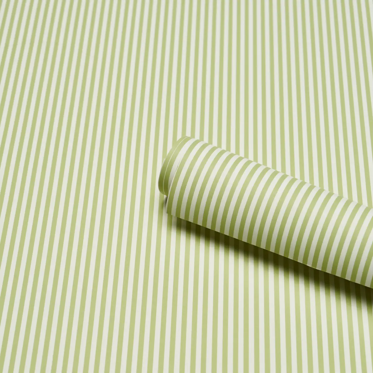 Emma Stripe Narrow_ LEAF
