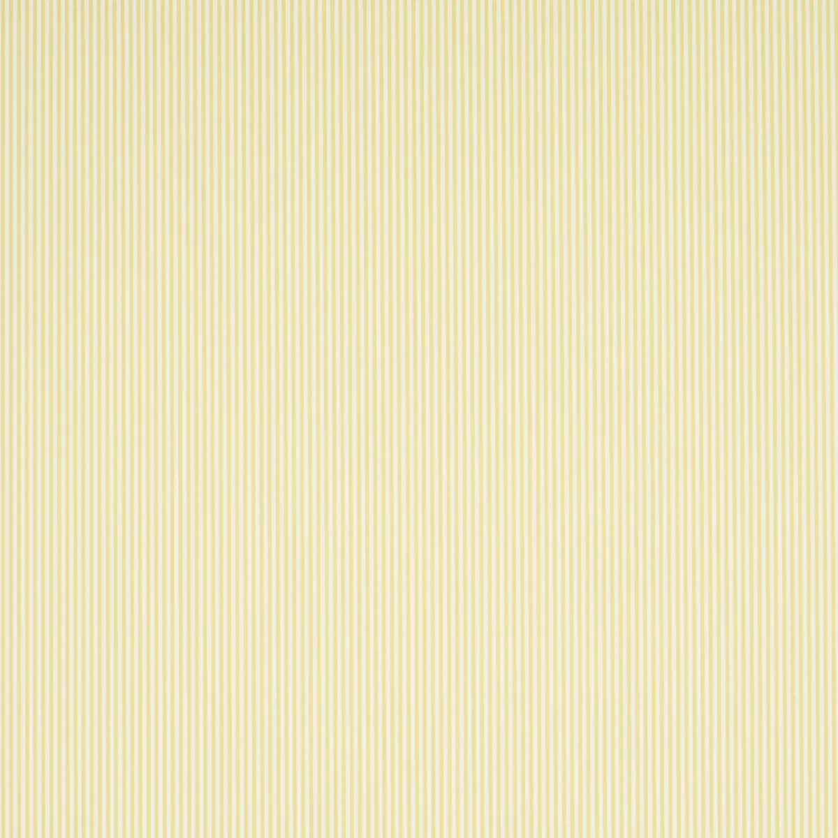 Emma Stripe Narrow_ YELLOW
