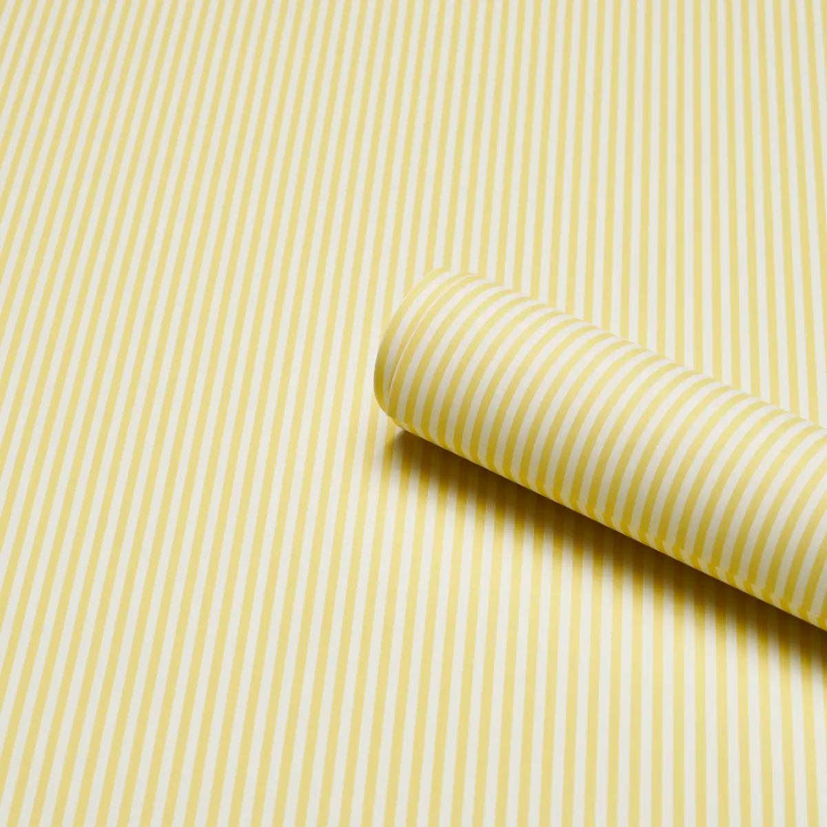 Emma Stripe Narrow_ YELLOW
