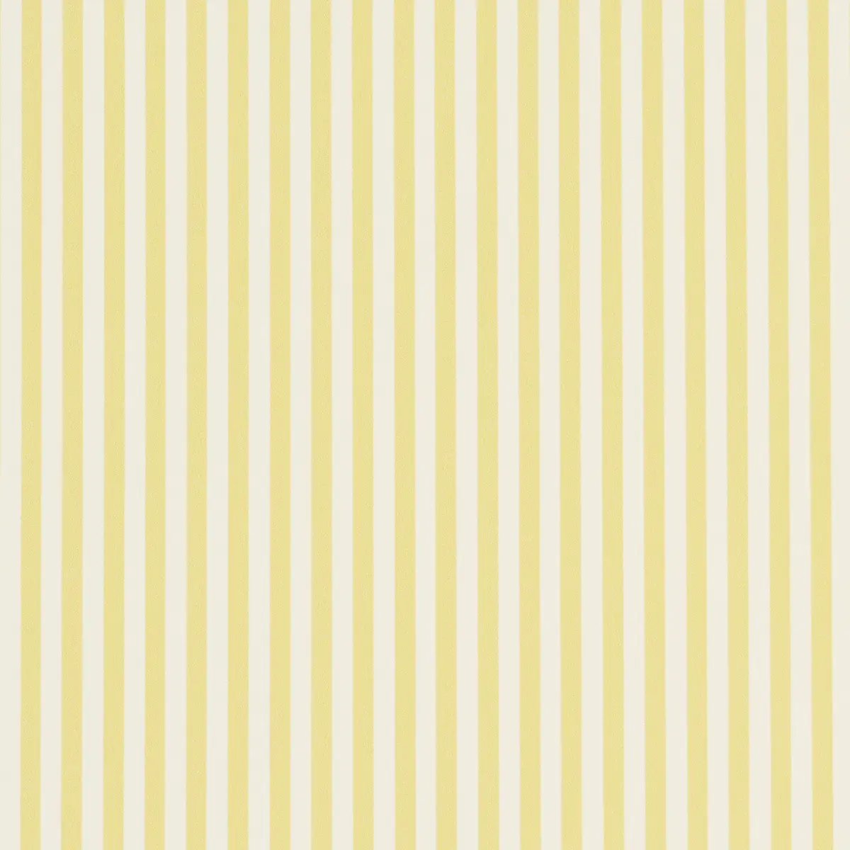 Emma Stripe Narrow_ YELLOW
