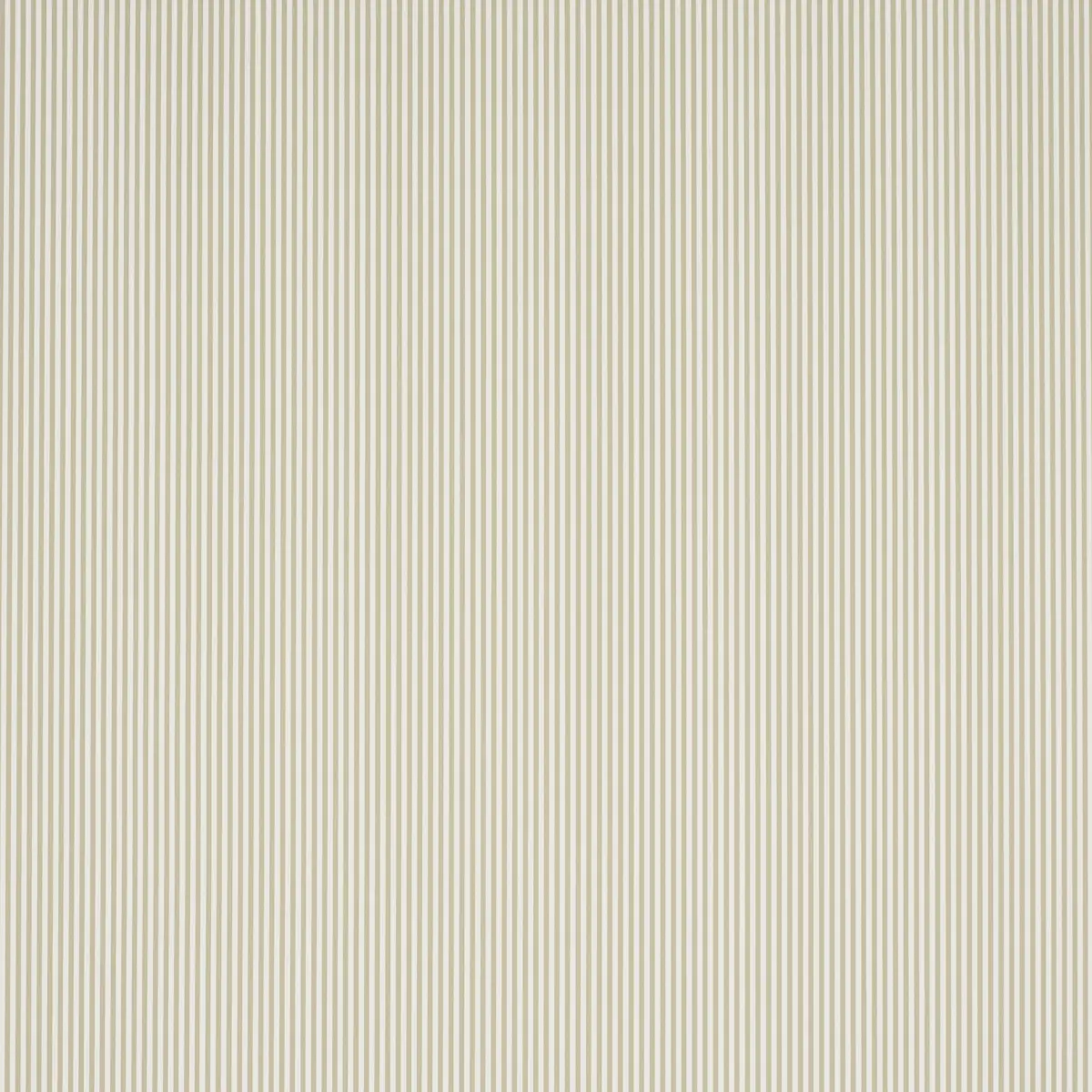 Emma Stripe Narrow_ NEUTRAL
