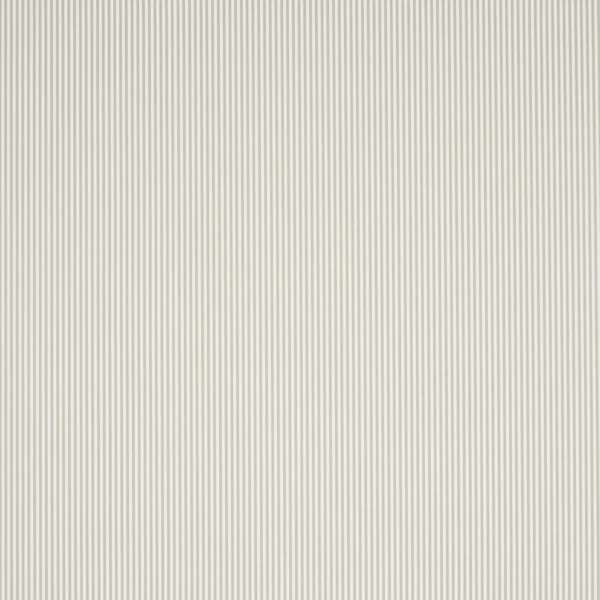 Emma Stripe Narrow_ STONE