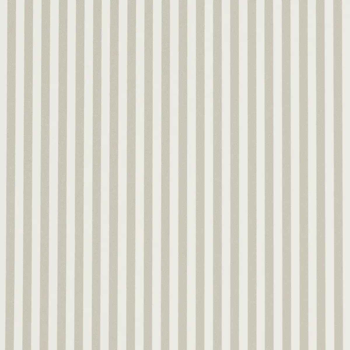 Emma Stripe Narrow_ STONE