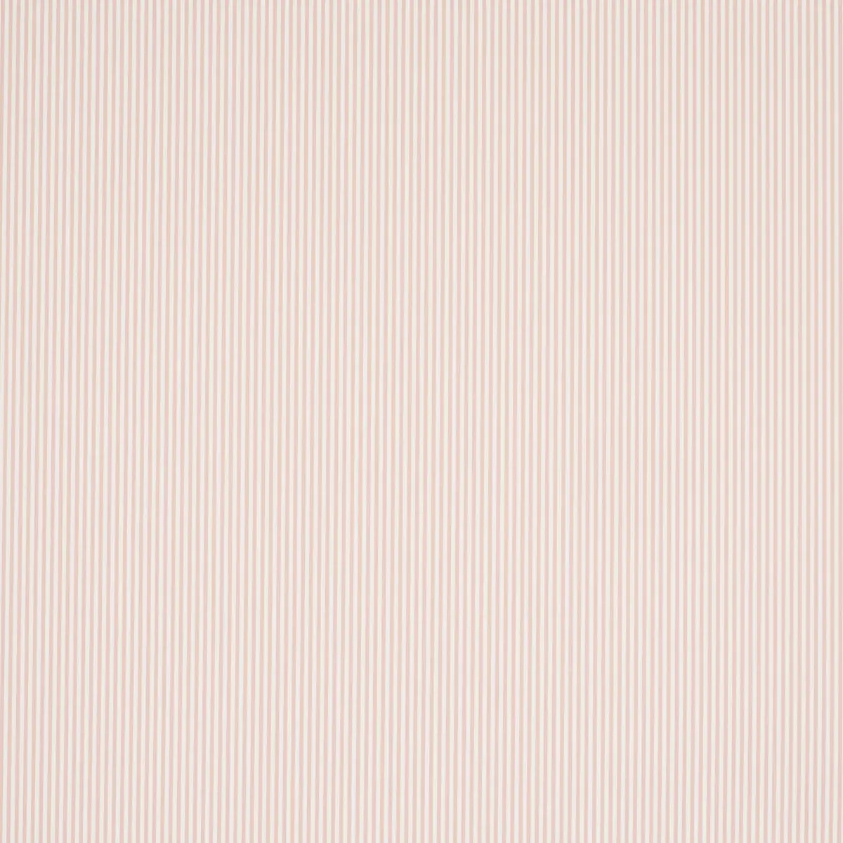 Emma Stripe Narrow_ BLUSH