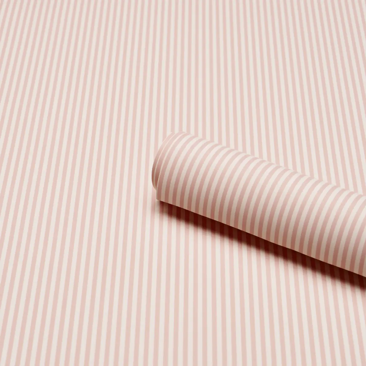 Emma Stripe Narrow_ BLUSH