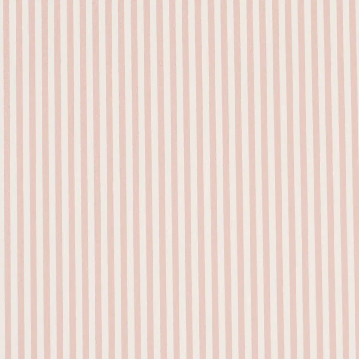 Emma Stripe Narrow_ BLUSH