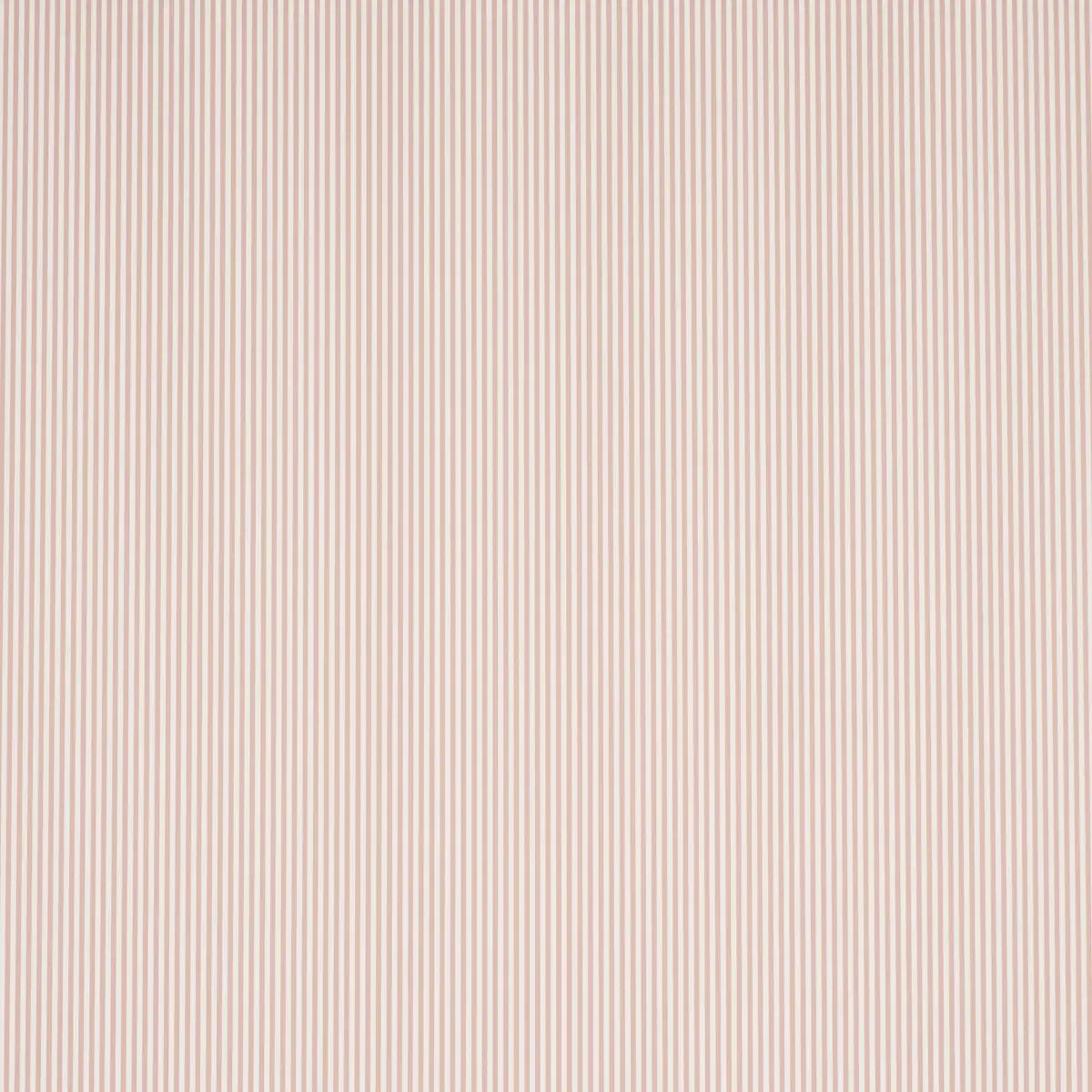 Emma Stripe Narrow_ ROSE