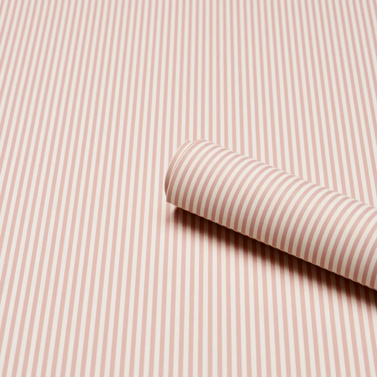 Emma Stripe Narrow_ ROSE